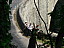 Pour agrandir cliquer sur la vignette dscn7725.jpg